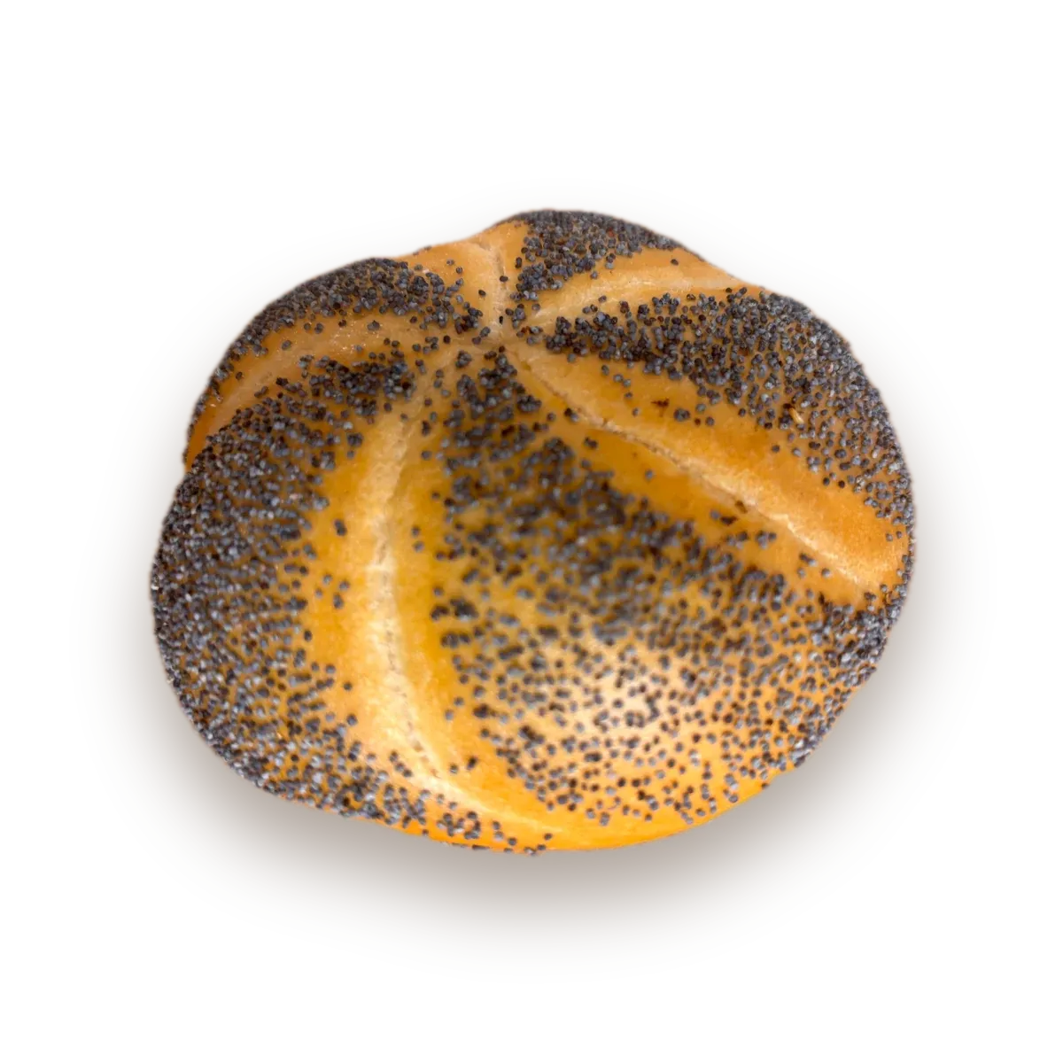 Mohnsemmel mit gleichmäßiger Mohndecke